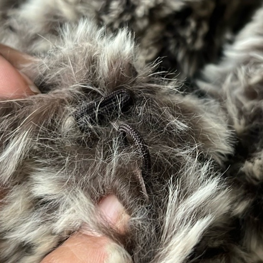 PINKO Rabbit Fur Vest - Picture 12 of 16